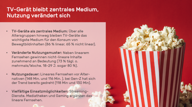 TV-Gerät als zentrales Medium