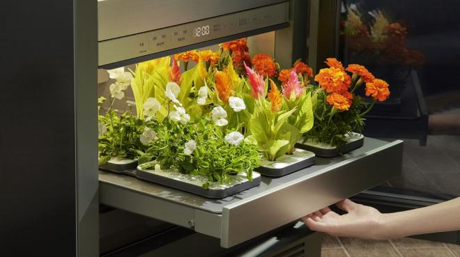Blühendes Pflanzenmeer aus dem LG tiiun - Bild: LG Electronics
