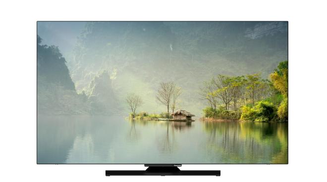 Panasonic OLED-TV Z80A